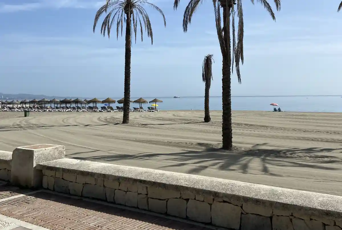 Beautiful Marbella beach with palm trees and sand showing typical beach parking area