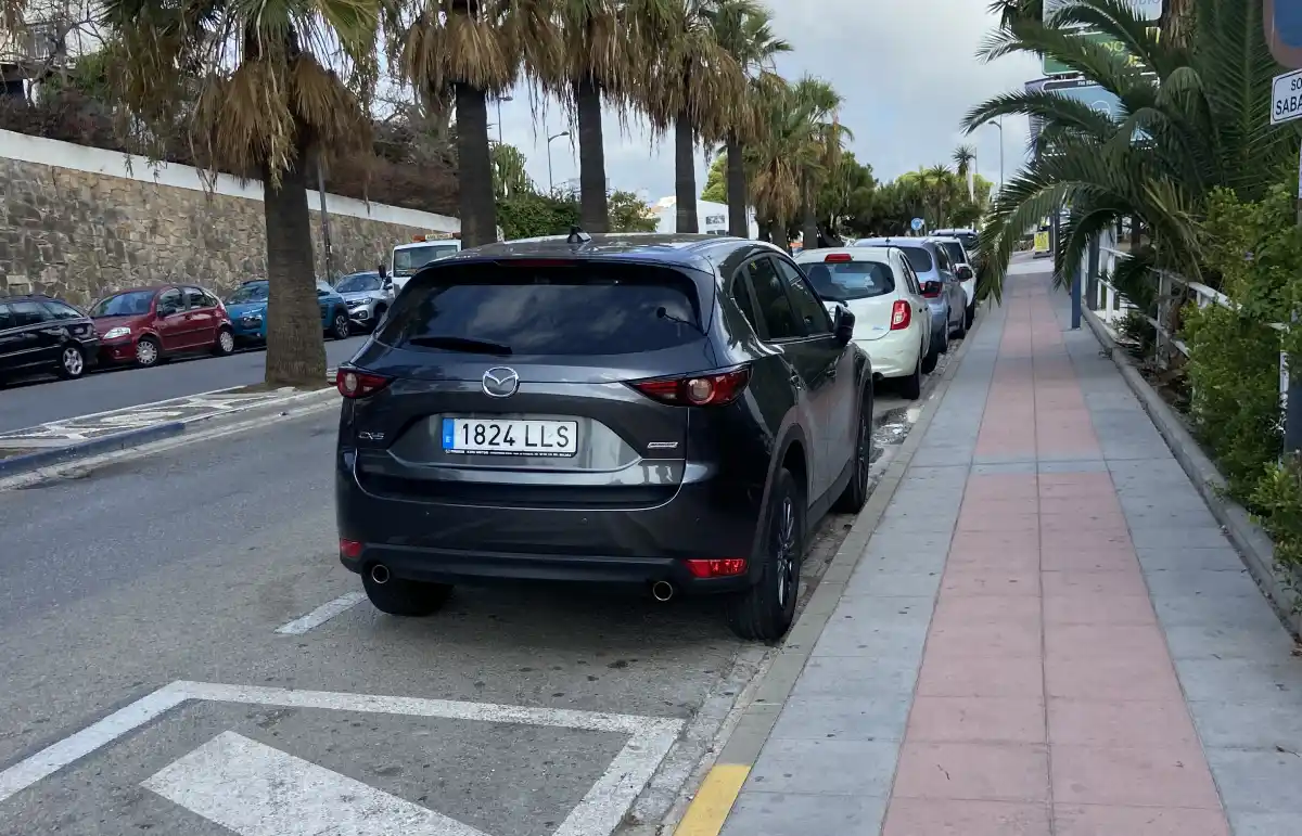Street parking in Marbella showing cars parked along palm tree-lined street